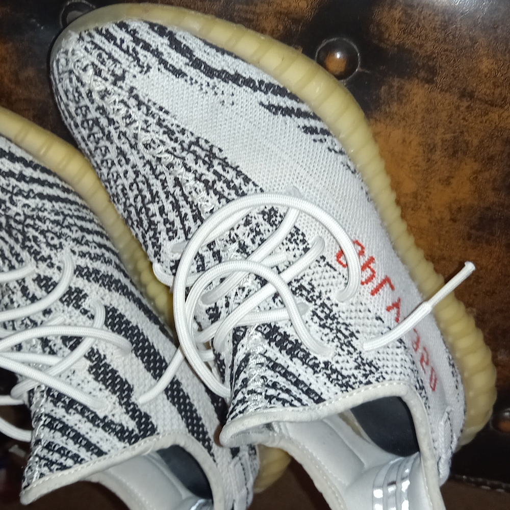 Zebra yezzys 10.5
